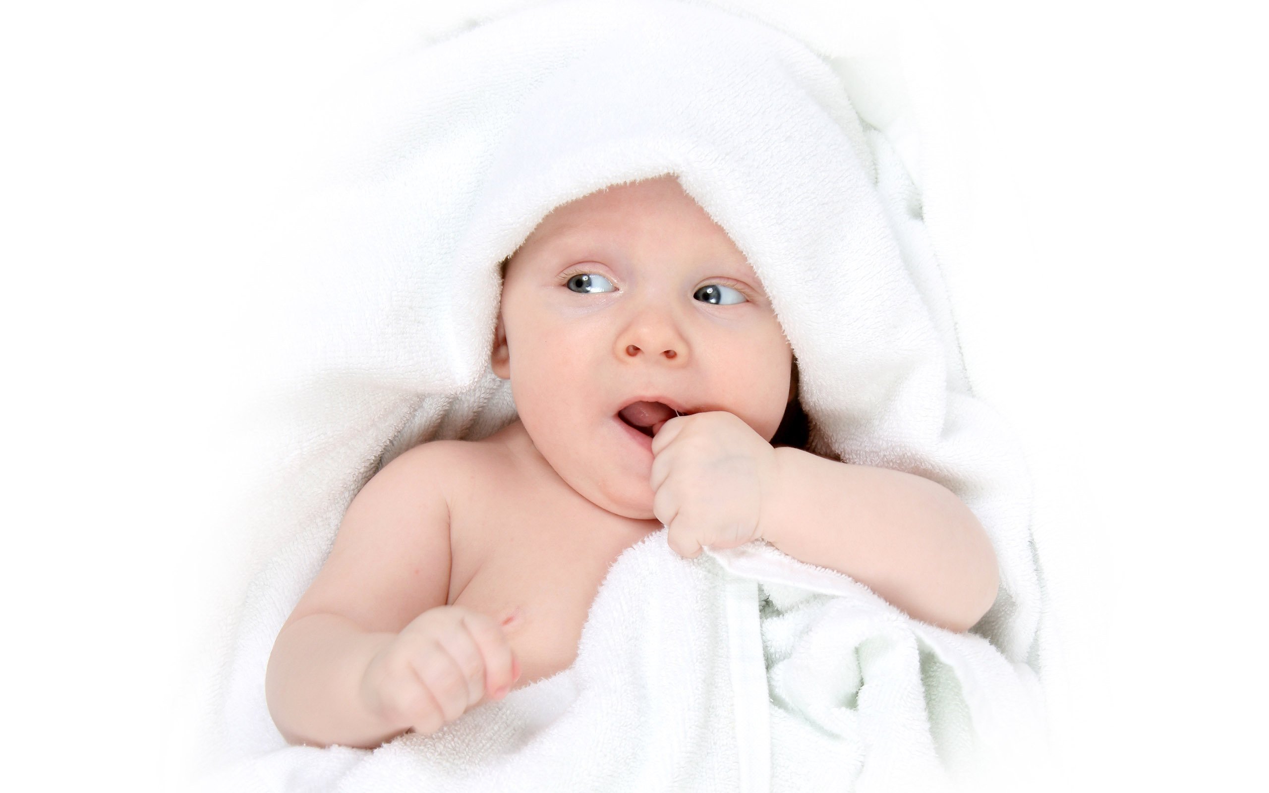 金华助孕公司机构试管婴儿冻胚移植成功率